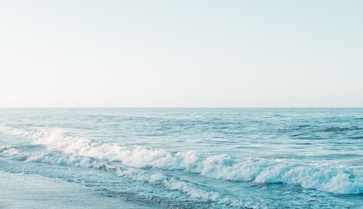 【2025年】社会人1年目生活日記①