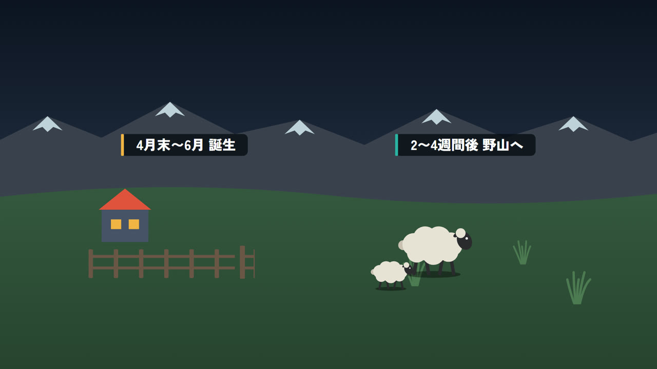 4月末〜6月に生まれ、2〜4週間後に野山へ