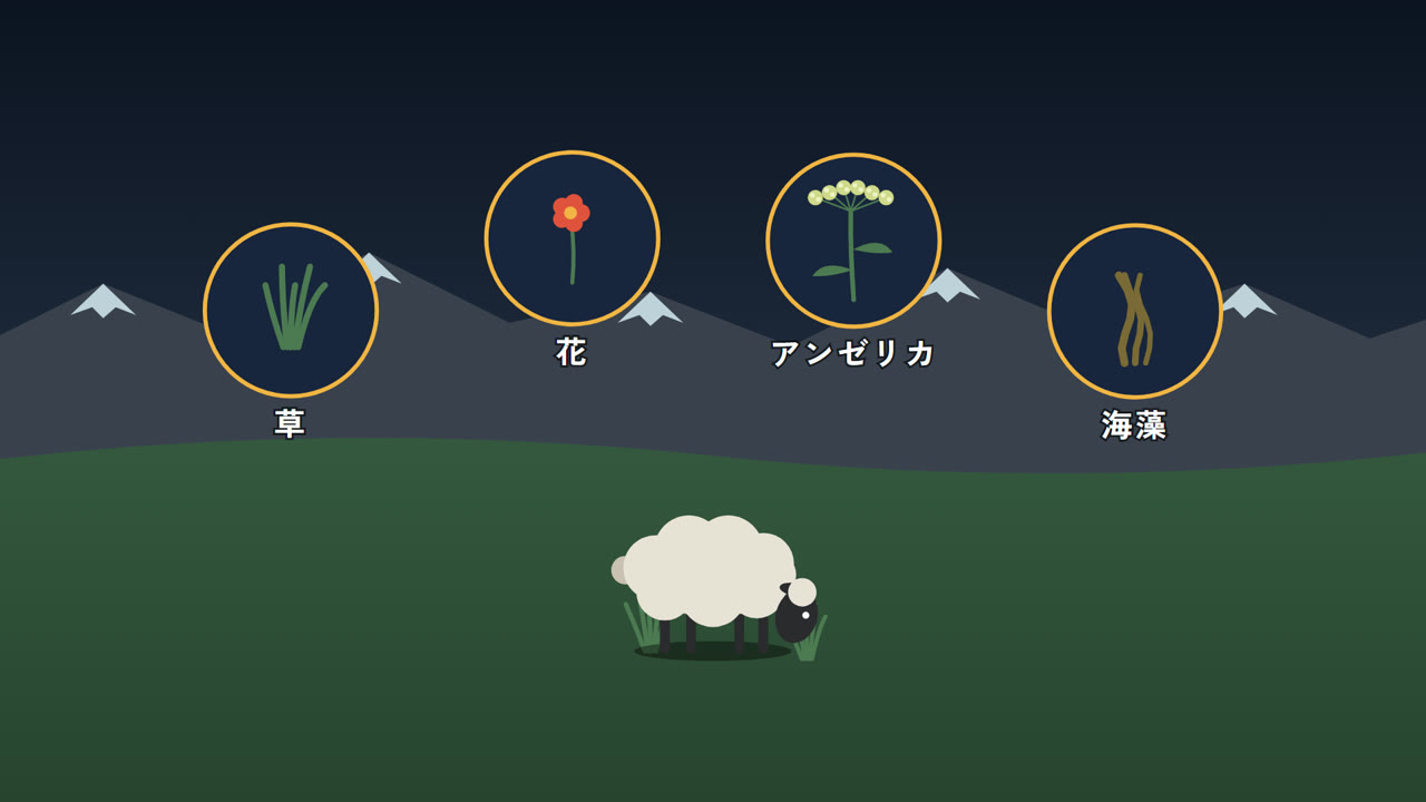 野生の草や花、ハーブ。海岸では海藻も